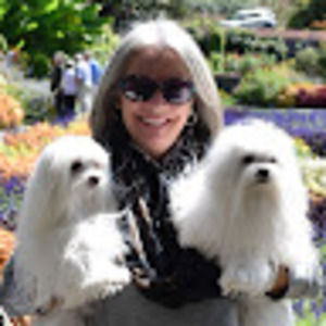 Meet your Posher, Patricia bedard